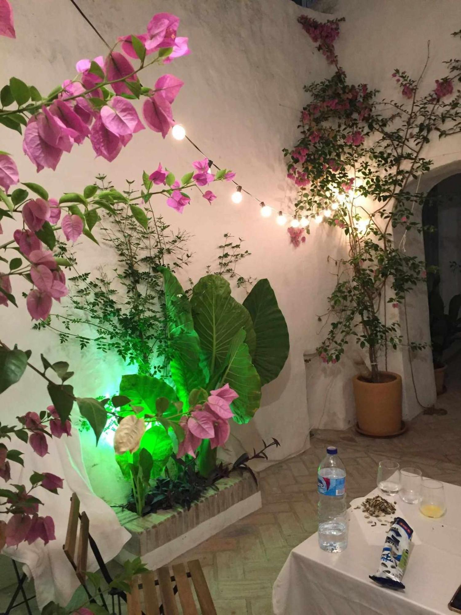 Antiqua Centro De Vejer Con Wifi Grupo Ac Gestion Villa เวเฮร์ เด ลา ฟรอนเตรา ภายนอก รูปภาพ