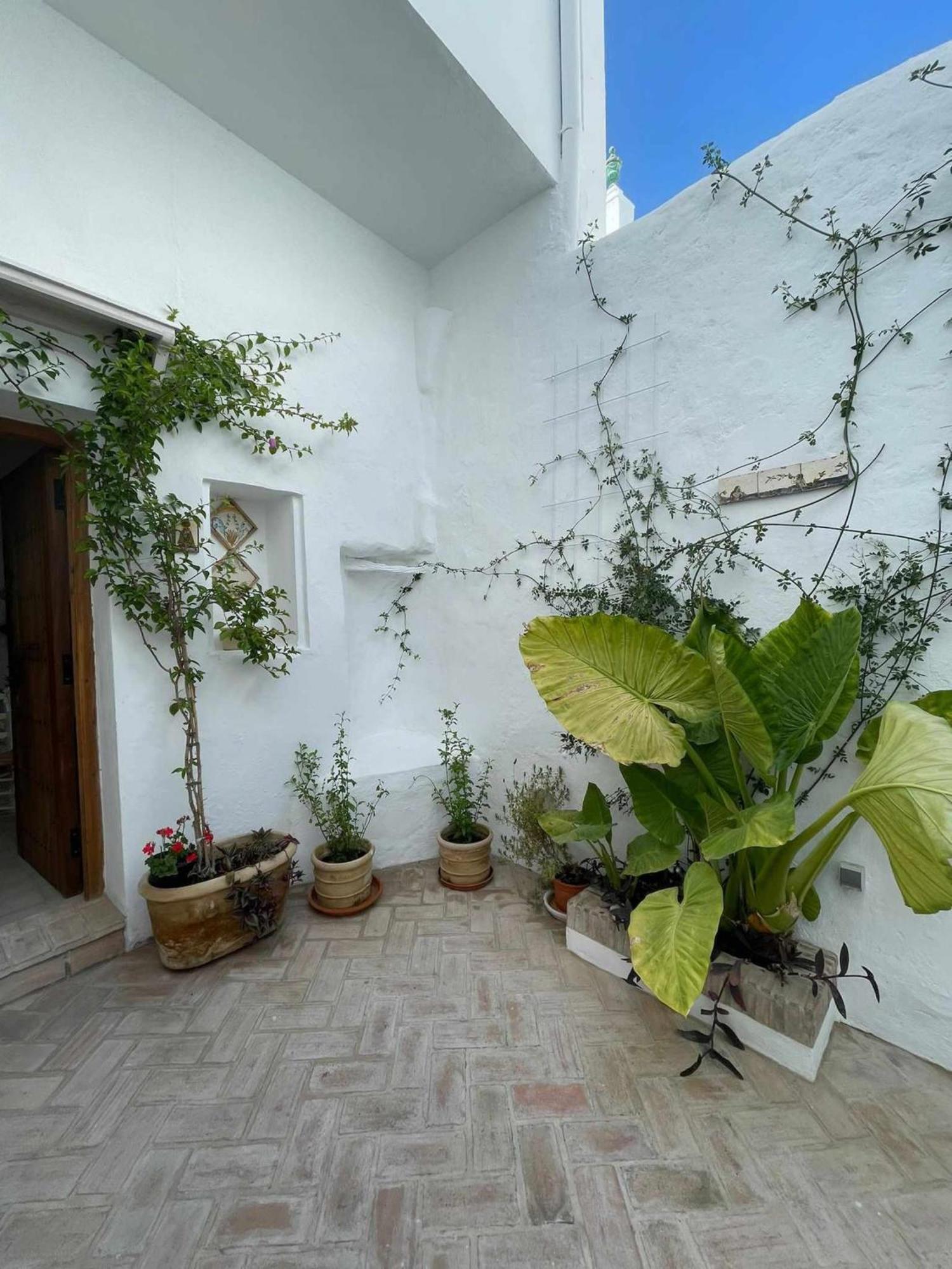 Antiqua Centro De Vejer Con Wifi Grupo Ac Gestion Villa เวเฮร์ เด ลา ฟรอนเตรา ภายนอก รูปภาพ